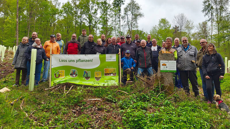 Eine Gruppe von Menschen bei der Baumpflanzaktion im Wald
